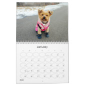 Mayzie Calendar II (Stil 2022) Kalender (Jan 2026)