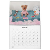 Mayzie Calendar III (Stil 2023) Kalender (Mär 2027)