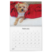 Mayzie Calendar III (Stil 2023) Kalender (Feb 2027)