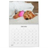 Mayzie Calendar III (Stil 2023) Kalender (Jan 2027)