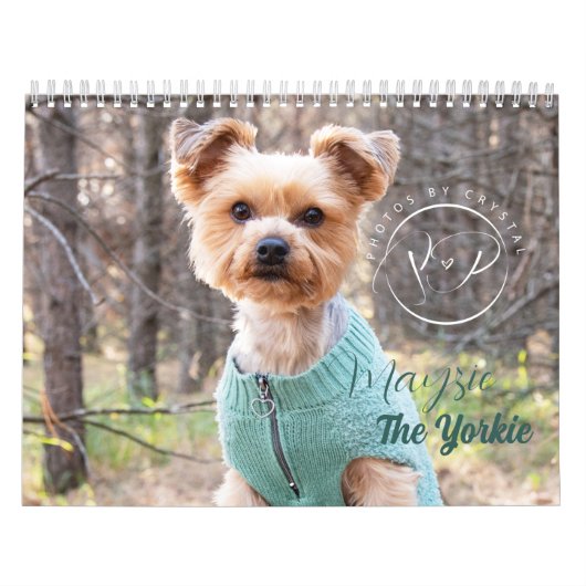 Mayzie Calendar III (Stil 2023) Kalender (Titelbild)