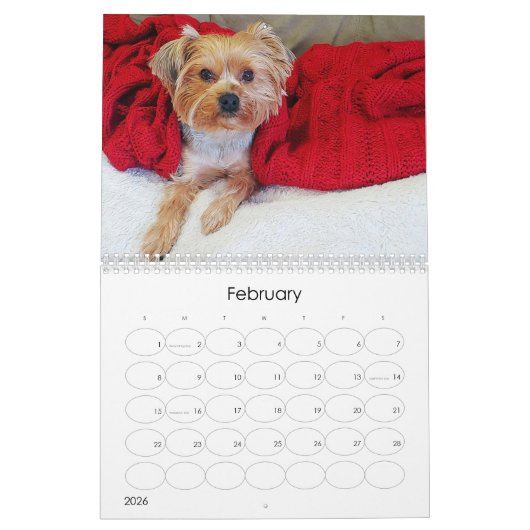 Mayzie Calendar III (Stil 2023) Kalender (Feb 2026)