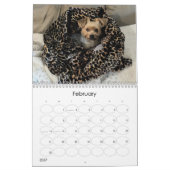 Mayzie Calendar V (Stil 2024) Kalender (Feb 2027)
