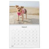 Mayzie Calendar VI (Stil 2025) Kalender (Mär 2027)