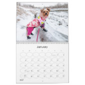 Mayzie Calendar VI (Stil 2025) Kalender (Jan 2027)