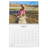 Mayzie Kalender IV (Stil 2024) (Mär 2027)