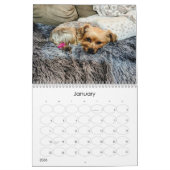 Mayzie Kalender IV (Stil 2024) (Jan 2026)