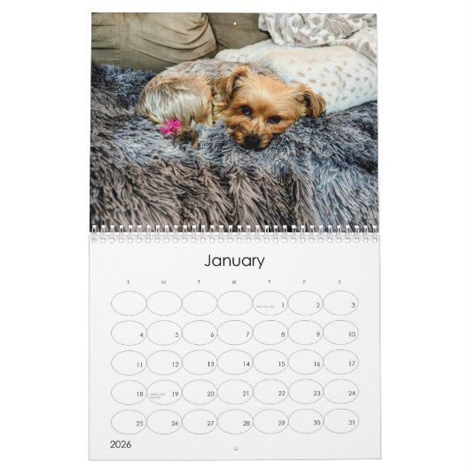 Mayzie Kalender IV (Stil 2024) (Jan 2026)