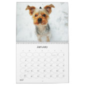 Mayzie-Kalender (Stil 2021) Kalender (Jan 2027)