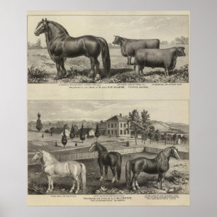 McAfee Eigentum, Topeka McCrumb, Kansas Poster