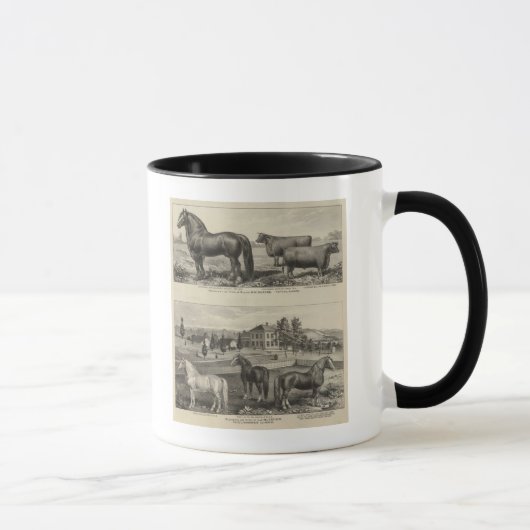 McAfee-Eigentum, Topeka McCrumb, Kansas Tasse (Rechts)
