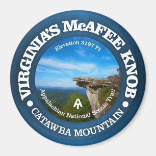 McAfee Griff Magnet