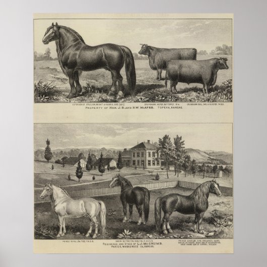 McAfee property, Topeka McCrumb, Kansas Poster (Vorne)