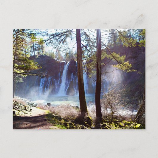 McArthur-Burney Falls Memorial Staat Park Postkarte (Vorderseite)