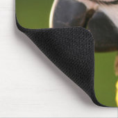 McCaw Mousepad (Ecke)