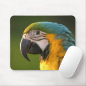 McCaw Mousepad (Mit Mouse)
