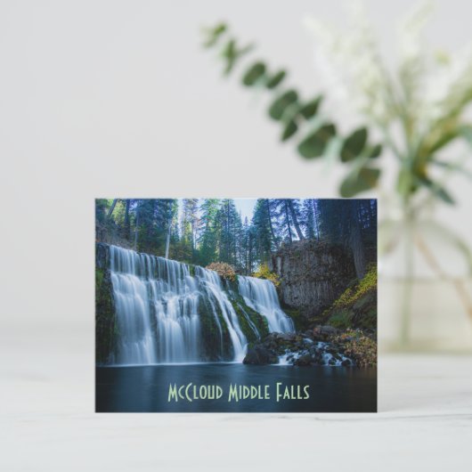 McCloud Middle Falls Postkarte (Stehend Vorderseite)