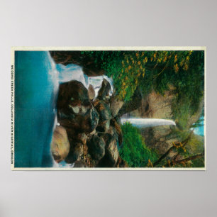 McCord Creed Falls auf dem Columbia River Poster