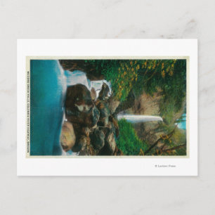 McCord Creed Falls auf dem Columbia River Postkarte