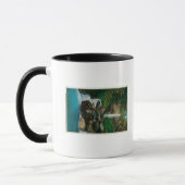 McCord Creed Falls auf dem Columbia River Tasse (Links)