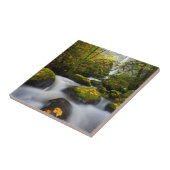 McCord-Creek-Bigleaf-Ahorn| Columbia - Schlucht, O Fliese (Seite)