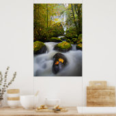 McCord Creek Bigleaf Maple | Columbia Gorge, OR Poster (Küche)
