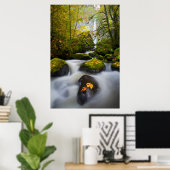 McCord Creek Bigleaf Maple | Columbia Gorge, OR Poster (Heimbüro)