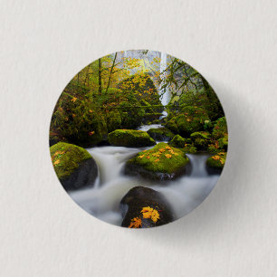 McCord Creek Großblättriger Ahorn   Columbia Gorge Button