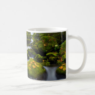 McCord Creek Großblättriger Ahorn Columbia Gorge Kaffeetasse