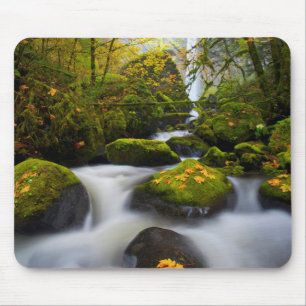 McCord Creek Großblättriger Ahorn Columbia Gorge Mousepad
