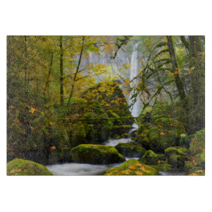 McCord Creek Großblättriger Ahorn Columbia Gorge Schneidebrett