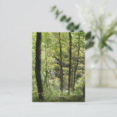 McCormicks Creek-Postkarte Postkarte (Stehend Vorderseite)