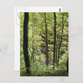 McCormicks Creek-Postkarte Postkarte (Vorne/Hinten)