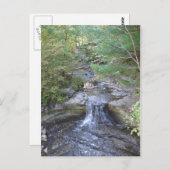 McCormicks Creek-Wasserfall-Postkarte Postkarte (Vorne/Hinten)