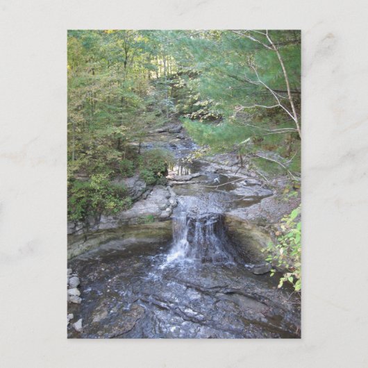 McCormicks Creek-Wasserfall-Postkarte Postkarte (Vorderseite)