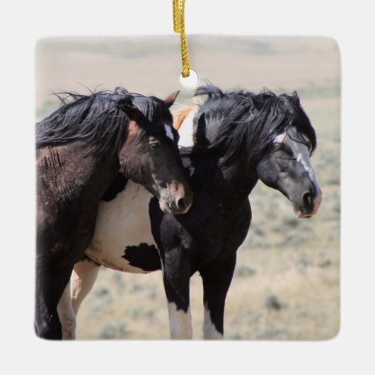 McCullough Peaks Washakie Keramik Ornament (Vorderseite)