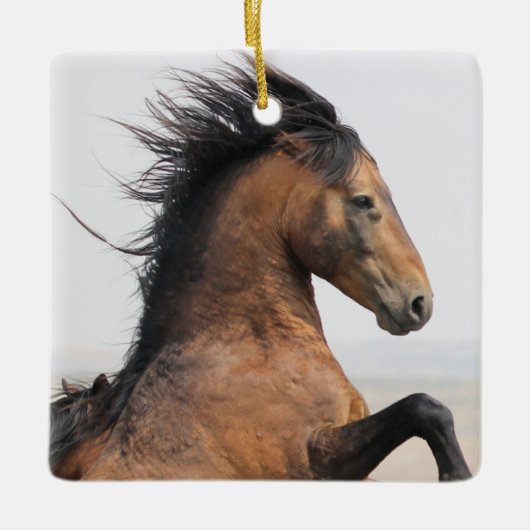 McCullough Peaks Wild Horse Keramik Ornament (Vorderseite)