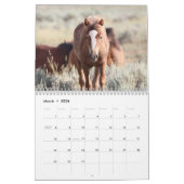 McCullough Peaks Wild Horses Kalender (Mär 2026)