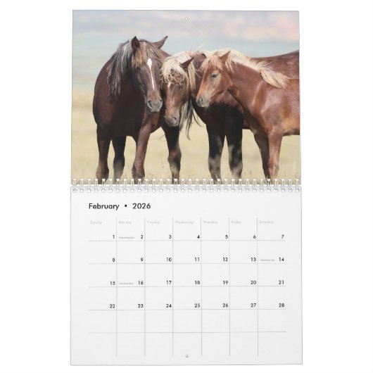 McCullough Peaks Wild Horses Kalender (Feb 2026)