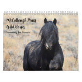 McCullough Peaks Wild Horses Kalender (Titelbild)