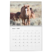 McCullough Peaks Wild Horses Kalender (Mär 2027)