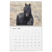 McCullough Peaks Wild Horses Kalender (Jan 2027)