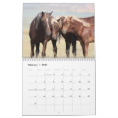 McCullough Peaks Wild Horses Kalender (Feb 2027)