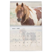 McCullough Peaks Wild Horses Kalender (Mär 2027)