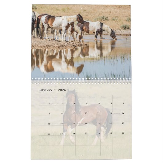 McCullough Peaks Wild Horses Kalender (Feb 2026)