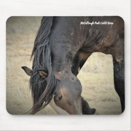 McCullough Peaks Wild Horses Mousepad