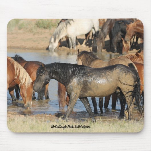 McCullough Peaks Wild Horses Mousepad (Vorne)