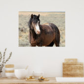McCullough Peaks Wild Horses Poster (Küche)