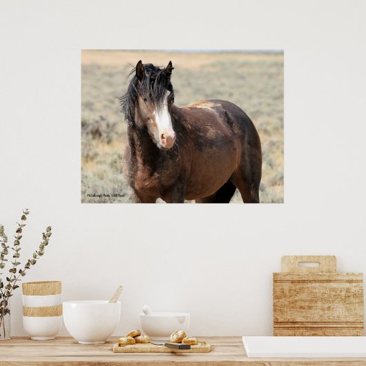 McCullough Peaks Wild Horses Poster (Küche)