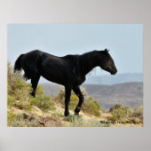 McCullough Peaks Wild Horses Poster (Vorne)